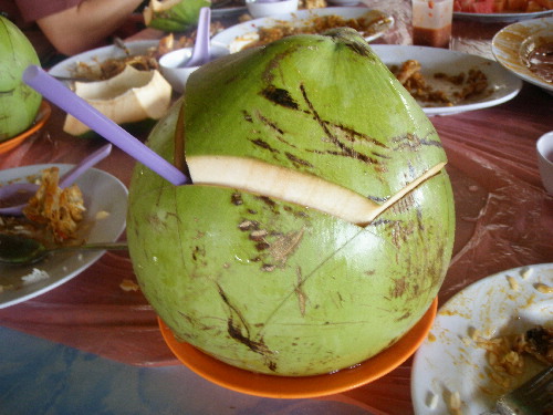 A Fresh Coconut Drink