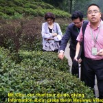 Mr. Chu, writer's chief tour guide, talked about green tea