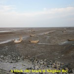 A black silty beach in Xinghua Bay(Low tide)