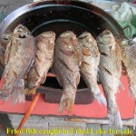 Fried fish caught by cormorants