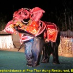 An elephant dance