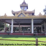 Royal Elephant Garden, Yangon