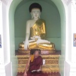 A monk reading a scripture in front of Lord Buddha statue