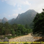 A Scenic View of Seoraksan National Park