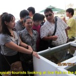 Malaysian tourists looking at live seafish