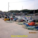 Daepo Fishing Wharf