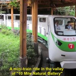 A mini-train ride for visitors