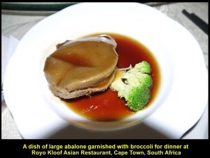 A dish of large abalone garnished with broccoli at Royo Kloof Asian Restaurant, Cape Town