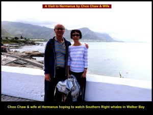 Choo Chaw & wife together with fellow-Malaysians visiting Hermanus to watch whales in Walker Bay