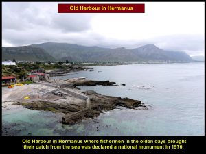 Hermanus was a fishing town in the olden days and was declared as a national monument in 1970.