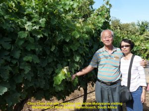 Choo Chaw and wife together with fellow-Malaysians visiting Neethlingshof Wine Estate