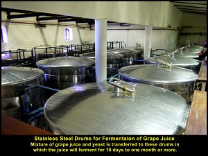 Grape juice with yeast fermenting in these stainless steel drums