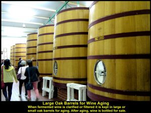Large oak drums for wine aging so that the wine has flavours and textures.