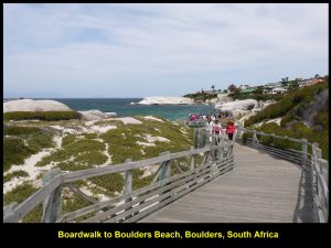 Boardwalk to Boulders Beach which is home to many penguins