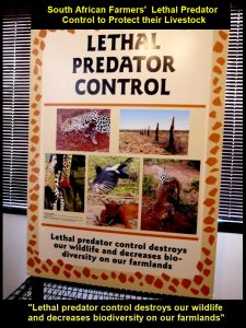 South African farmers' used lethal predator control to protest their livestock.
