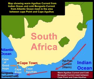 Map showing the meeting of two currents, cold Benguela Current and warm Agulhas Current