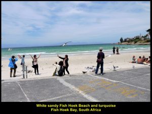 Sandy Fish Hoek Beach and turquoise Fish Hoek Bay