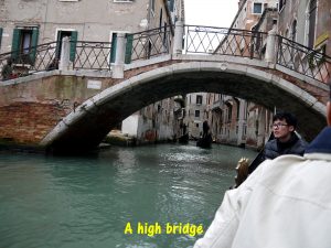A high bridge in Venice