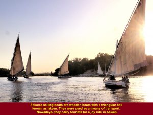 Feluccas sailing on River Nile, Aswan