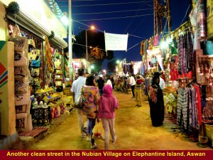 A brightly-lit business street in the Nubian village