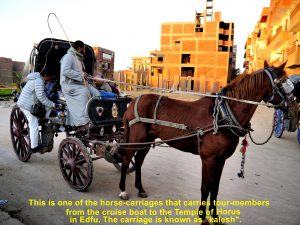 Horse-drawn carriages bringing tourists from cruise boats to Edfu Temple
