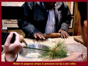 Water in strips are squeezed out by a pin roll.